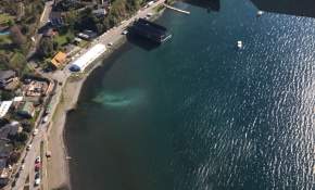 Sobrevuelo reveló preocupantes manchas y turbiedades en Lago Llanquihue [FOTOS]